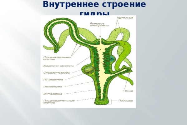 Кракен даркнет рабочая ссылка