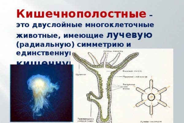 Кракен дарк ссылка