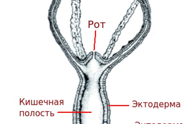 Настоящая ссылка на кракен