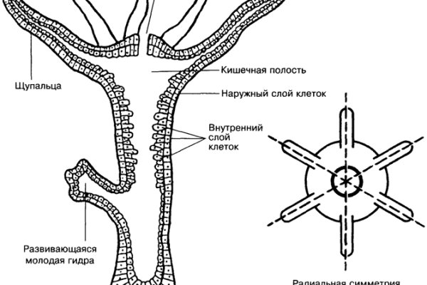 Кракен официальная kr2web in