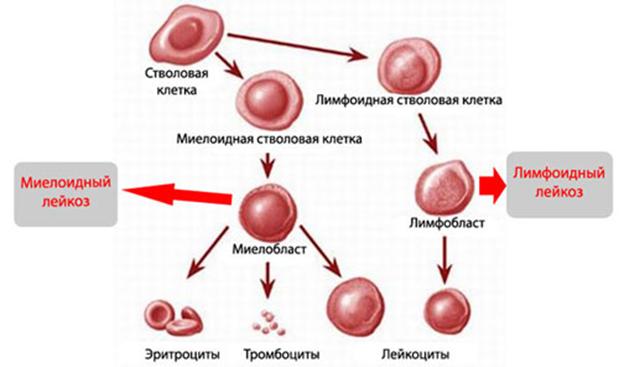 Найдется все кракен